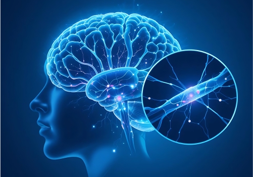 ADHD Cognitive Disorder