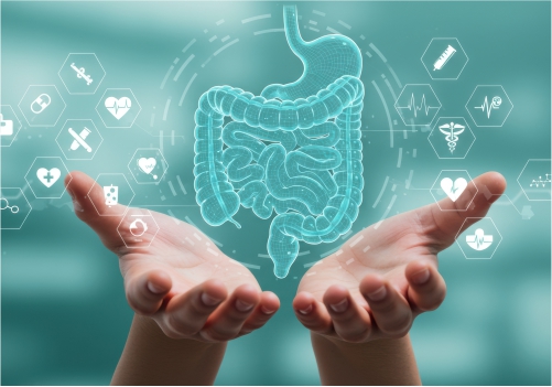 Digestive Supplements